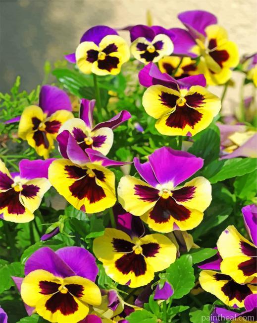 Pansy Yellow Flowers Painting By Numbers Kits