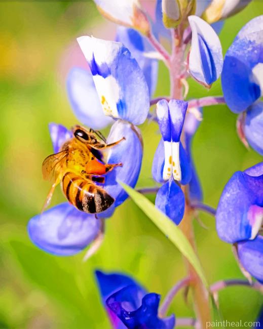 Bee And Bluebonnet Painting By Numbers Kits