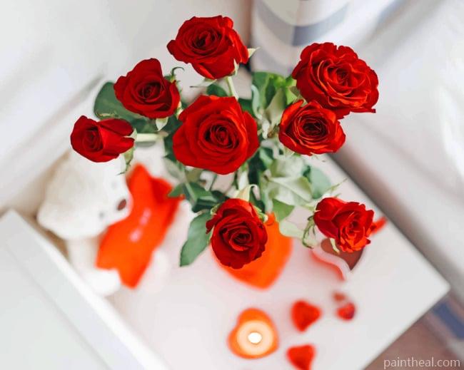 Red Pretty Flowers Painting By Numbers Kits