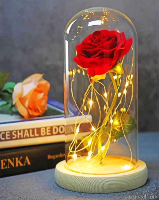 Enchanted Red Rose Painting By Numbers Kits