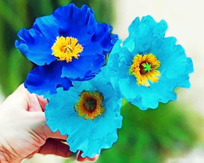 Blue And Cyan Poppy Flowers Painting By Numbers Kits