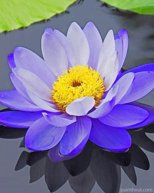 Purple Lotus Flower Painting By Numbers Kits