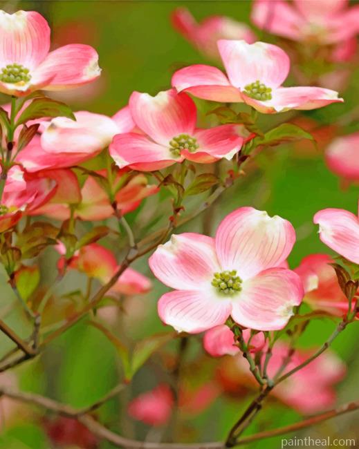 Dogwood Tree Painting By Numbers Kits
