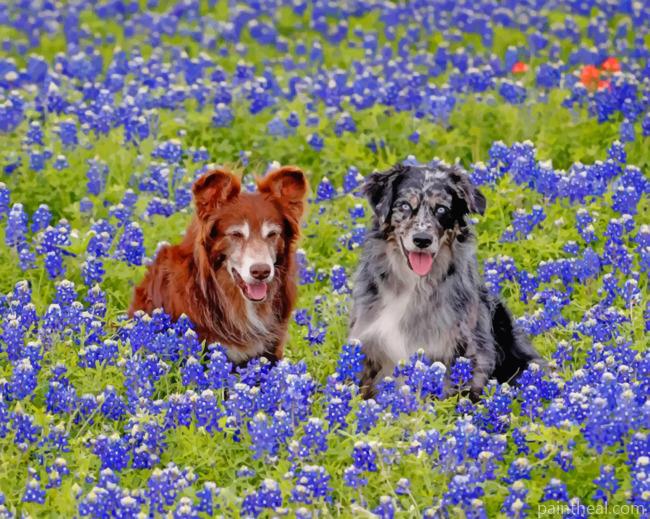 Bluebonnets And Dogs Painting By Numbers Kits