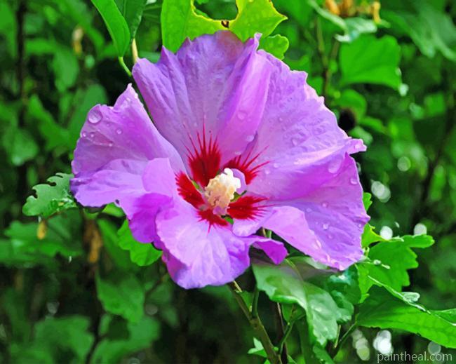 Aesthetic Hibiscus Purple Flower Painting By Numbers Kits