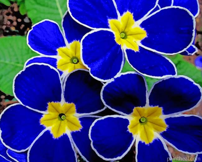 Blue Pansy Flowers Painting By Numbers Kits
