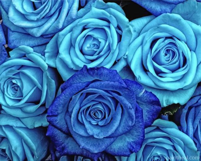 Blue Beautiful Roses Painting By Numbers Kits
