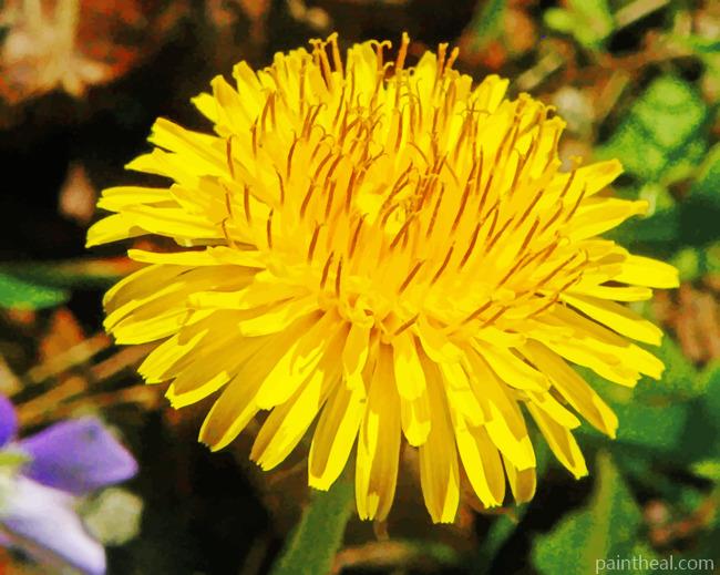 Dandelion Flower Painting By Numbers Kits