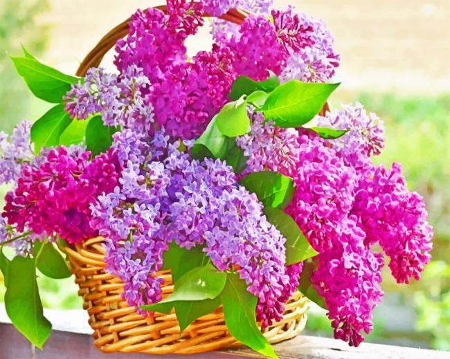 Aesthetic Basket Of Lilac Flowers Painting By Numbers Kits
