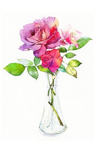 Pink Peony Flower Painting By Numbers Kits