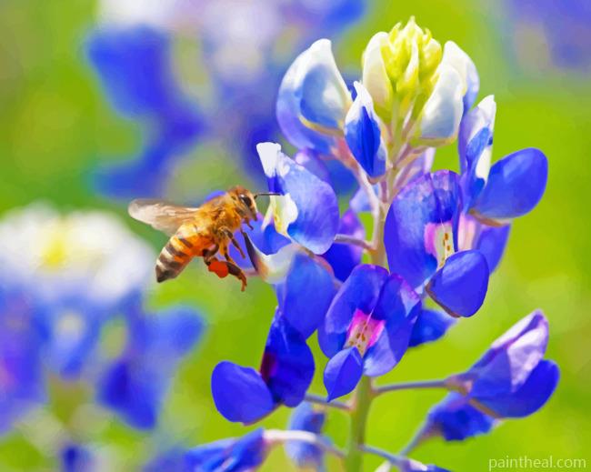 Bee On A Bluebonnet Painting By Numbers Kits