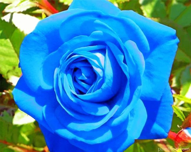 Aesthetic Blue Rose Painting By Numbers Kits
