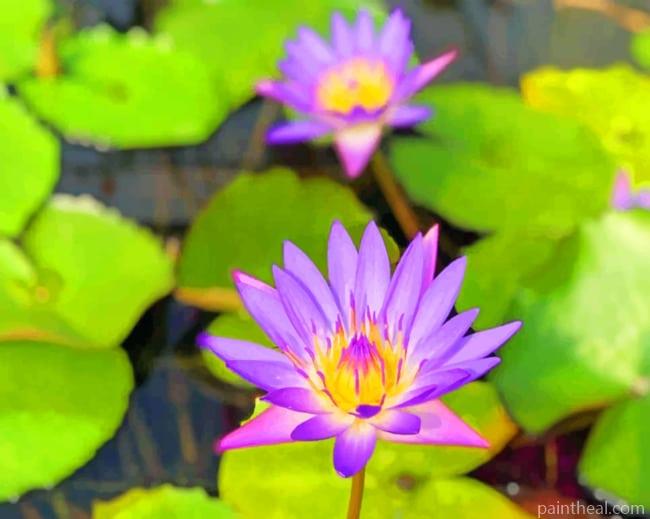 Purple Water Lilies Painting By Numbers Kits