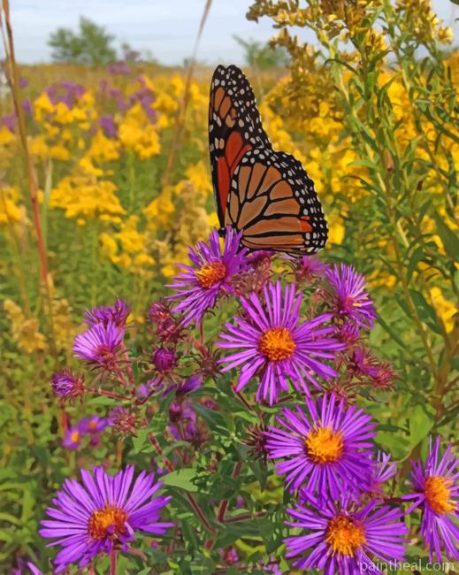 New England Aster Wild Flowers Painting By Numbers Kits