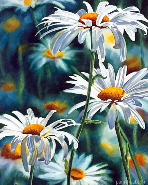 White Daisy Flowers Painting By Numbers Kits