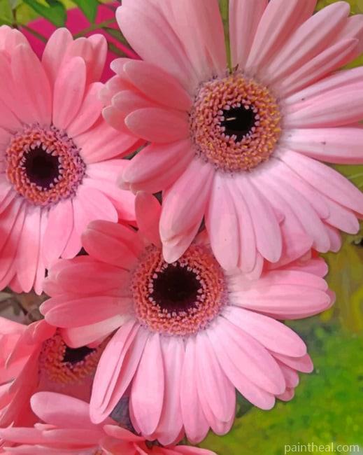 Pink Gerbera Daisy Painting By Numbers Kits
