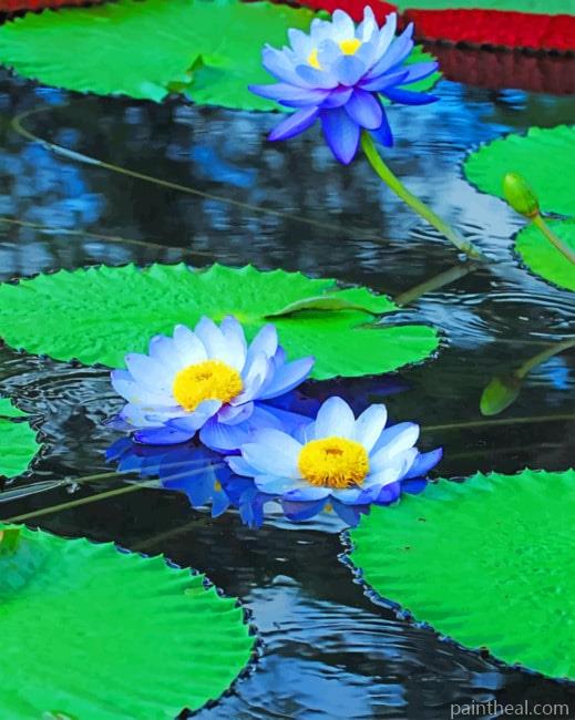 Blue Water Lilies Painting By Numbers Kits