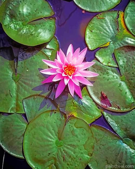 Pink Lotus In Water Painting By Numbers Kits