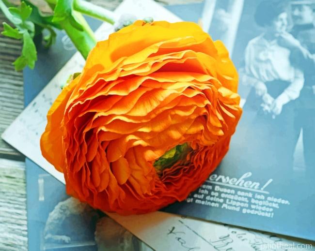 Orange Flower Painting By Numbers Kits