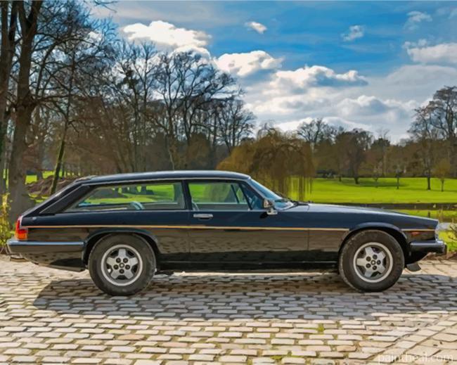 Black Jaguar Xjs Painting By Numbers Kits