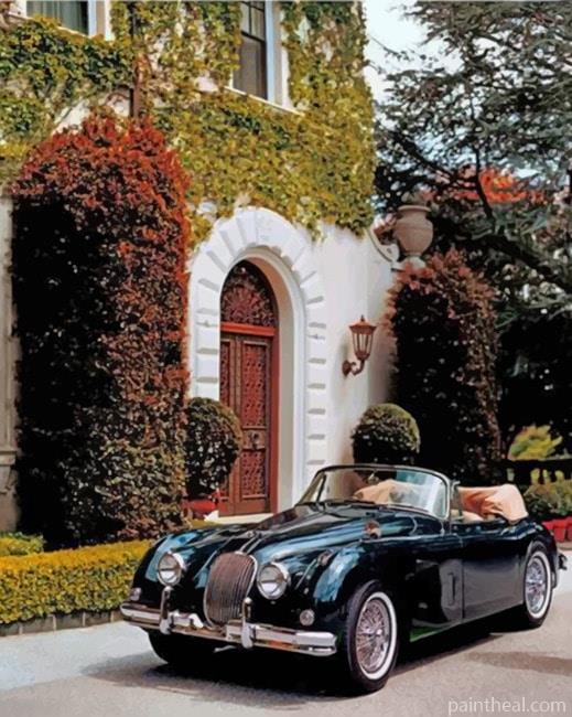 1950 Jaguar Convertible Painting By Numbers Kits