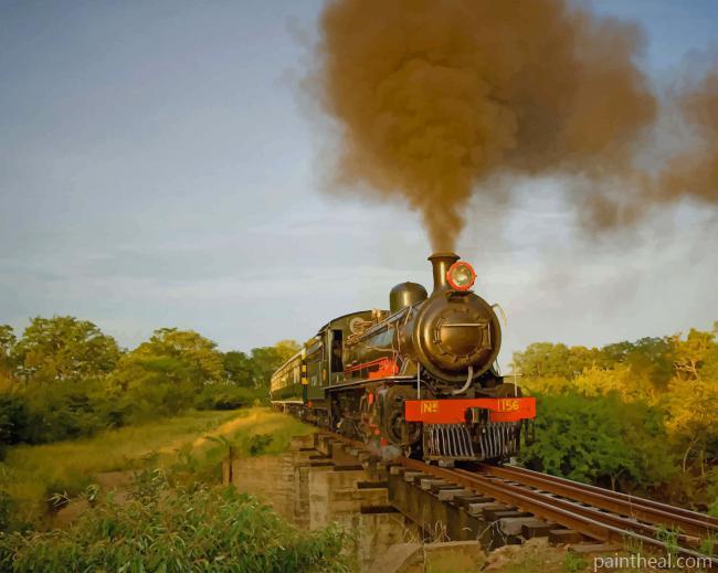 Royal Livingstone Steam Train Painting By Numbers Kits