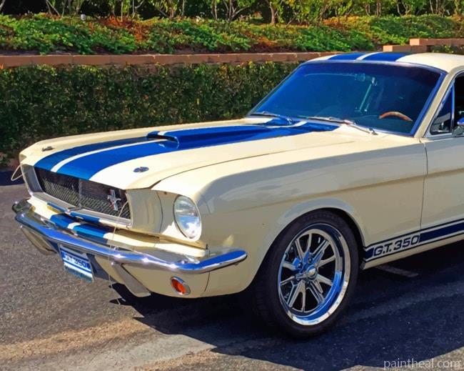 Mustang Fastback Gt500 Painting By Numbers Kits