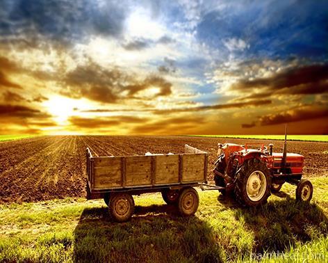 Tractor In Farm At Sunset Painting By Numbers Kits
