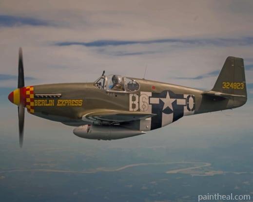 Fighter Airplane P51 Mustang Painting By Numbers Kits