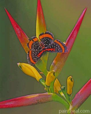 Butterfly And Bird Of Paradise Flower Painting By Numbers Kits