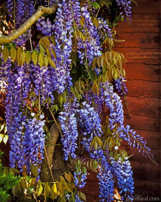 Blue Wisteria Plant Painting By Numbers Kits