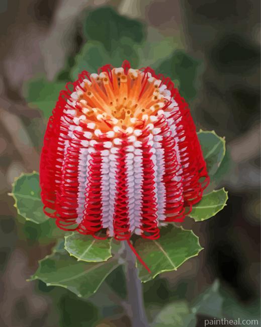Aesthetic Banksia Painting By Numbers Kits