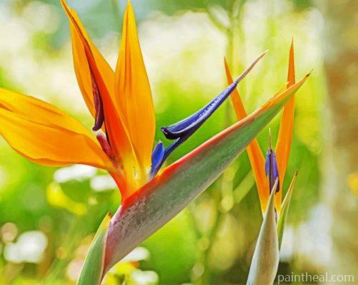 Orange Bird Of Paradise Painting By Numbers Kits