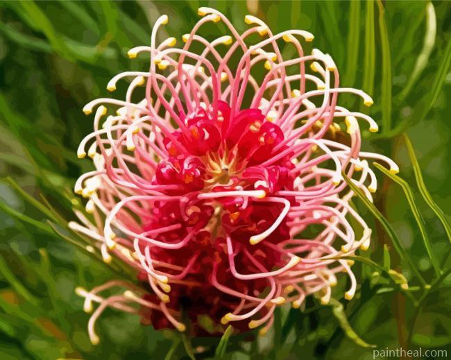 Grevillea Painting By Numbers Kits