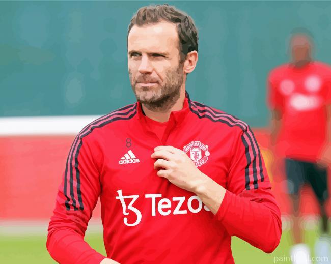Aesthetic Juan Mata Painting By Numbers Kits