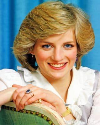 Gorgeous Lady Diana Painting By Numbers Kits