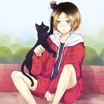 Girl With Cute Cat People Painting By Numbers Kits