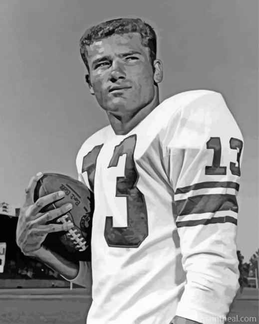 Don Maynard Football Player Painting By Numbers Kits