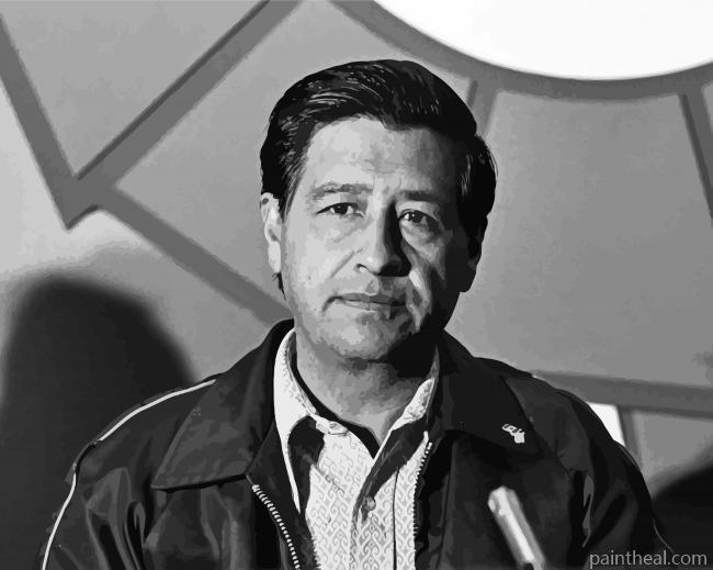 Black And White Cesar Chavez Painting By Numbers Kits