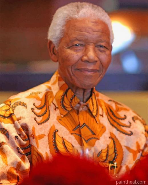 Nelson Mandela President Painting By Numbers Kits