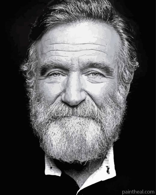 The Actor Robbin Williams Painting By Numbers Kits