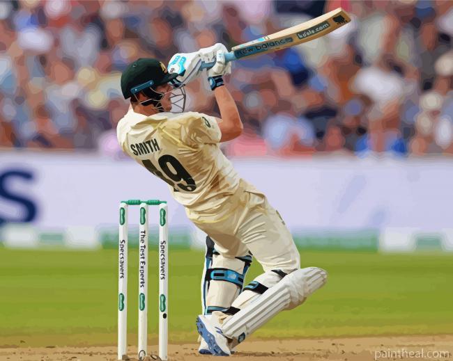Steve Smith Painting By Numbers Kits