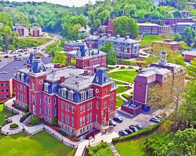 West Virginia University Painting By Numbers Kits