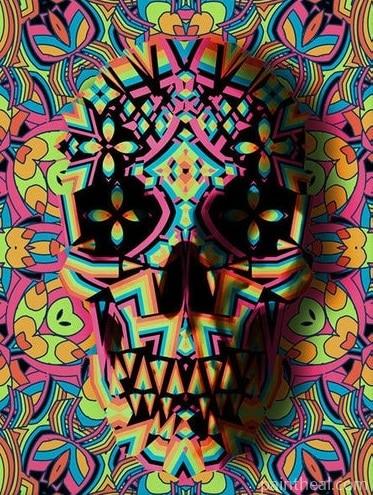 Skull Geo Two Abstract Painting By Numbers Kits