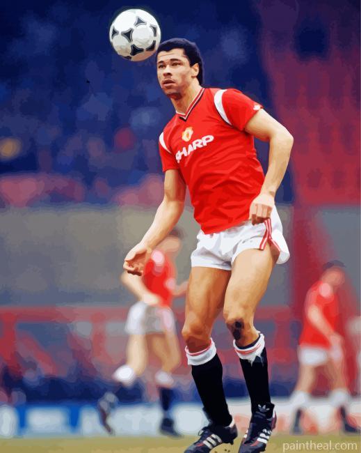Paul Mcgrath Footballer Painting By Numbers Kits