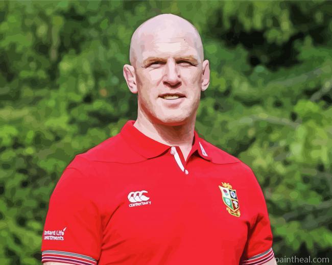 Paul O Connell Rugby Player Painting By Numbers Kits
