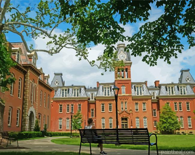 Aesthetic West Virginia University Painting By Numbers Kits