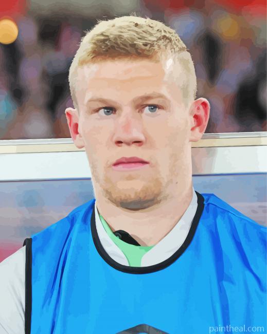 James McClean Painting By Numbers Kits
