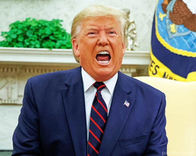 Trump Painting By Numbers Kits