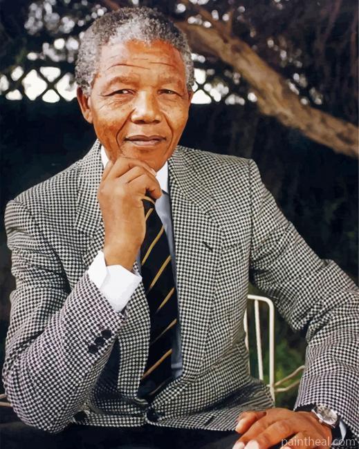President Nelson Mandela Painting By Numbers Kits